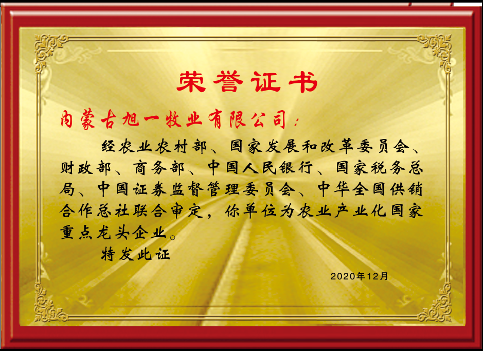 國(guó)家龍頭企業(yè)