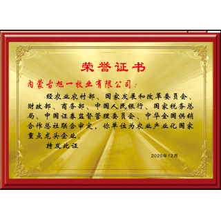 國(guó)家龍頭企業(yè)