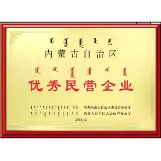 自治區(qū)優(yōu)秀民營(yíng)企業(yè)