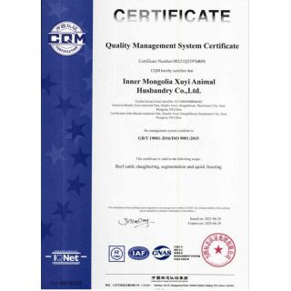 質(zhì)量管理體系認(rèn)證證書英文