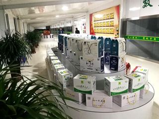 廠區(qū)環(huán)境