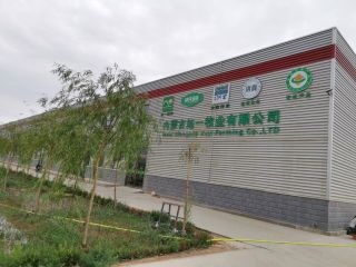 廠區(qū)環(huán)境