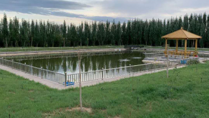 公司環(huán)境生態(tài)好，招來(lái)了野鴨子！