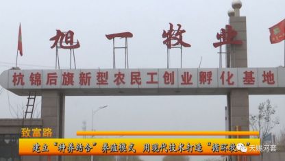 天賦河套 | 記者帶你解密旭一牧業(yè)為什么能獲首批入選天賦河套品牌...