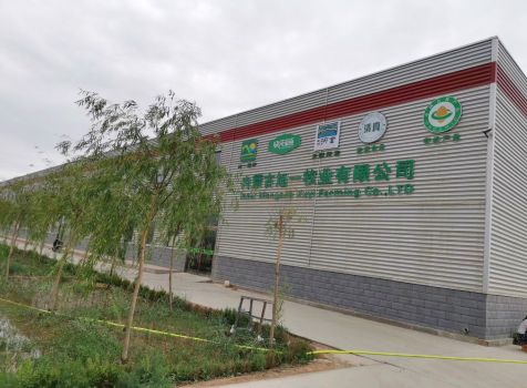 廠區(qū)環(huán)境