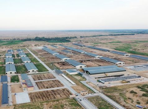 廠區(qū)環(huán)境