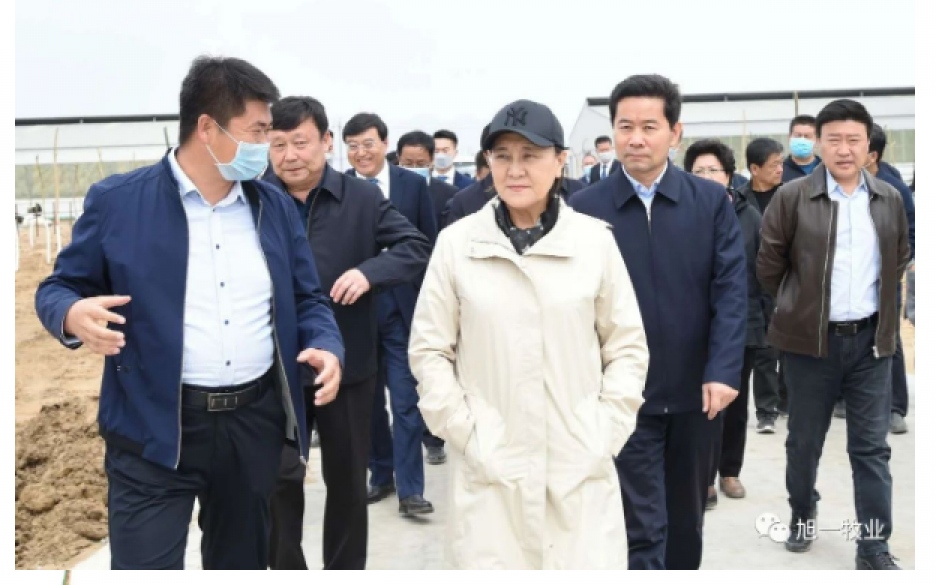 自治區(qū)黨委副書記、自治區(qū)主席布小林到旭一牧業(yè)考察調(diào)研