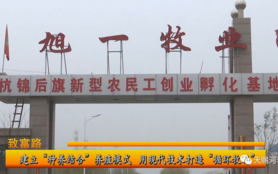 天賦河套 | 記者帶你解密旭一牧業(yè)為什么能獲首批入選天賦河套品牌...