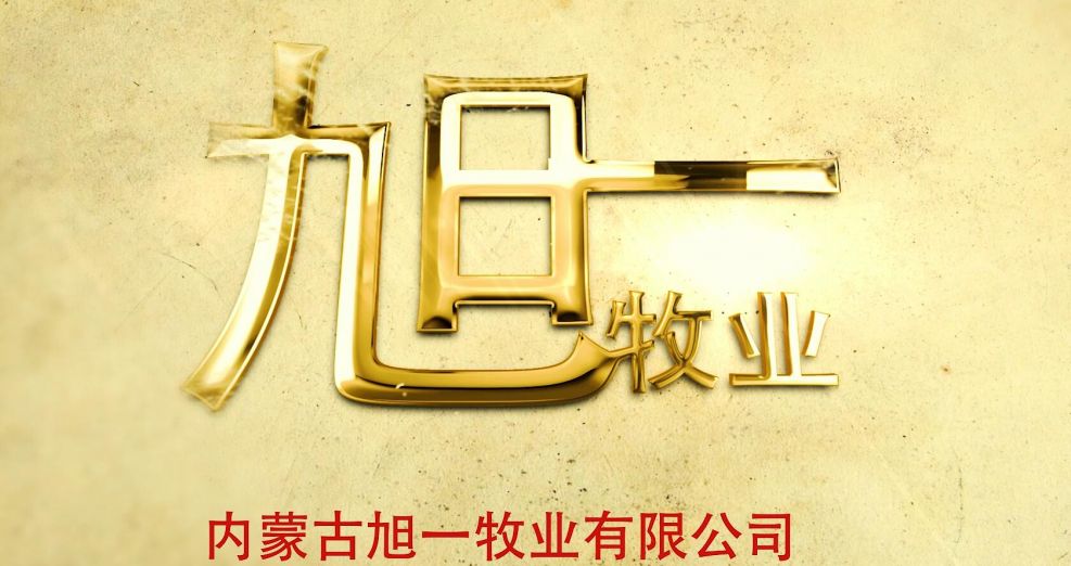 企業(yè)宣傳片