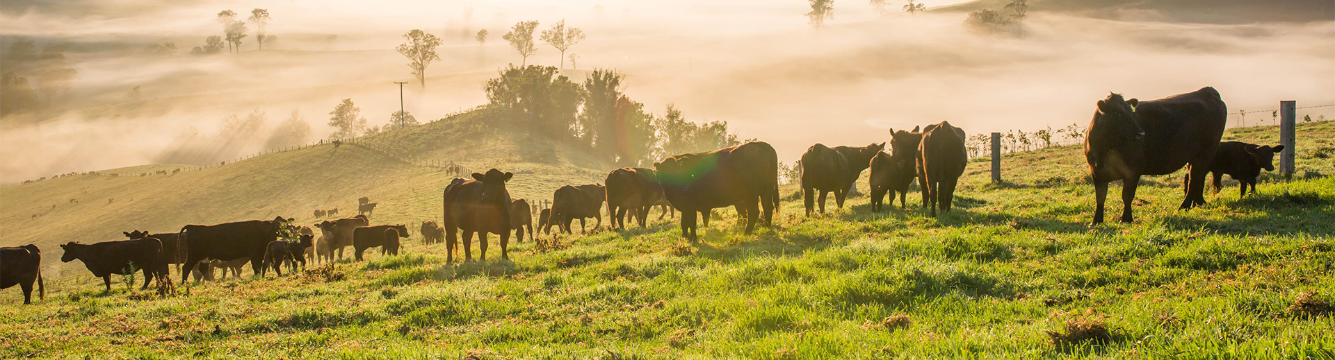 產(chǎn)品服務(wù)